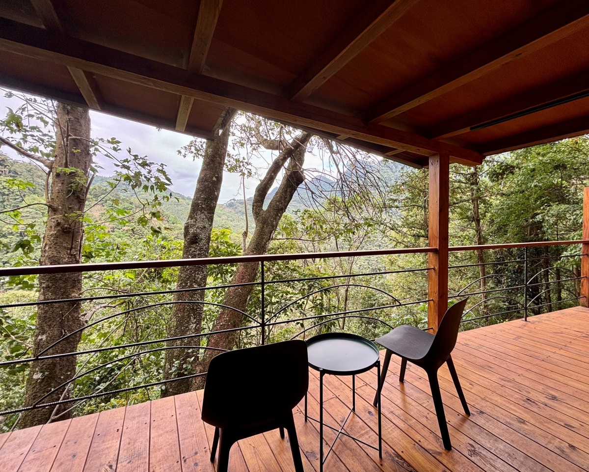 苗栗寵物友善民宿-山行玫瑰&山行寄野