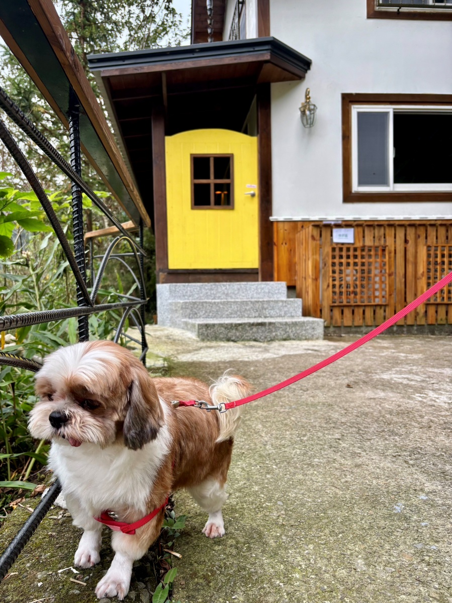 苗栗寵物友善民宿-山行玫瑰&山行寄野