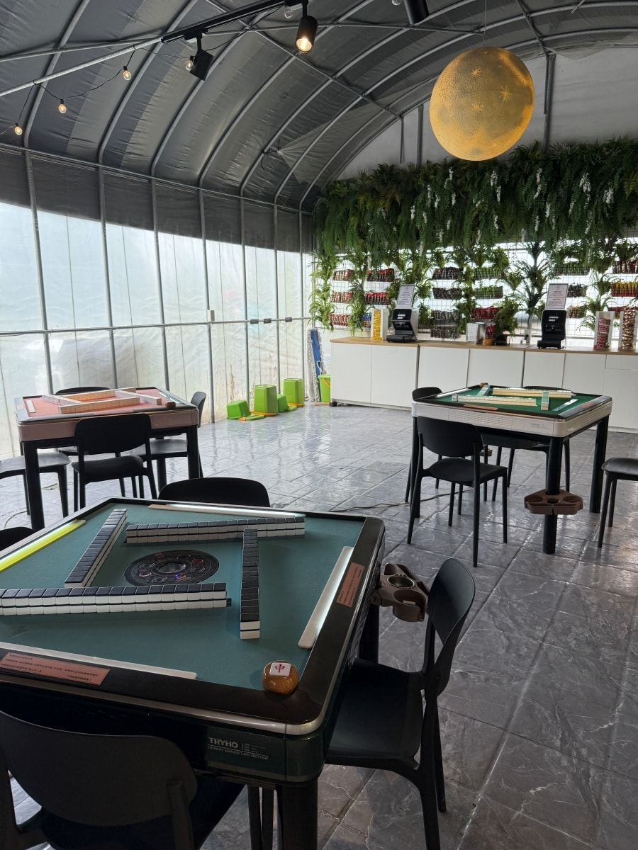 叢林開始懶人露營區-桃園店 - 第10張圖