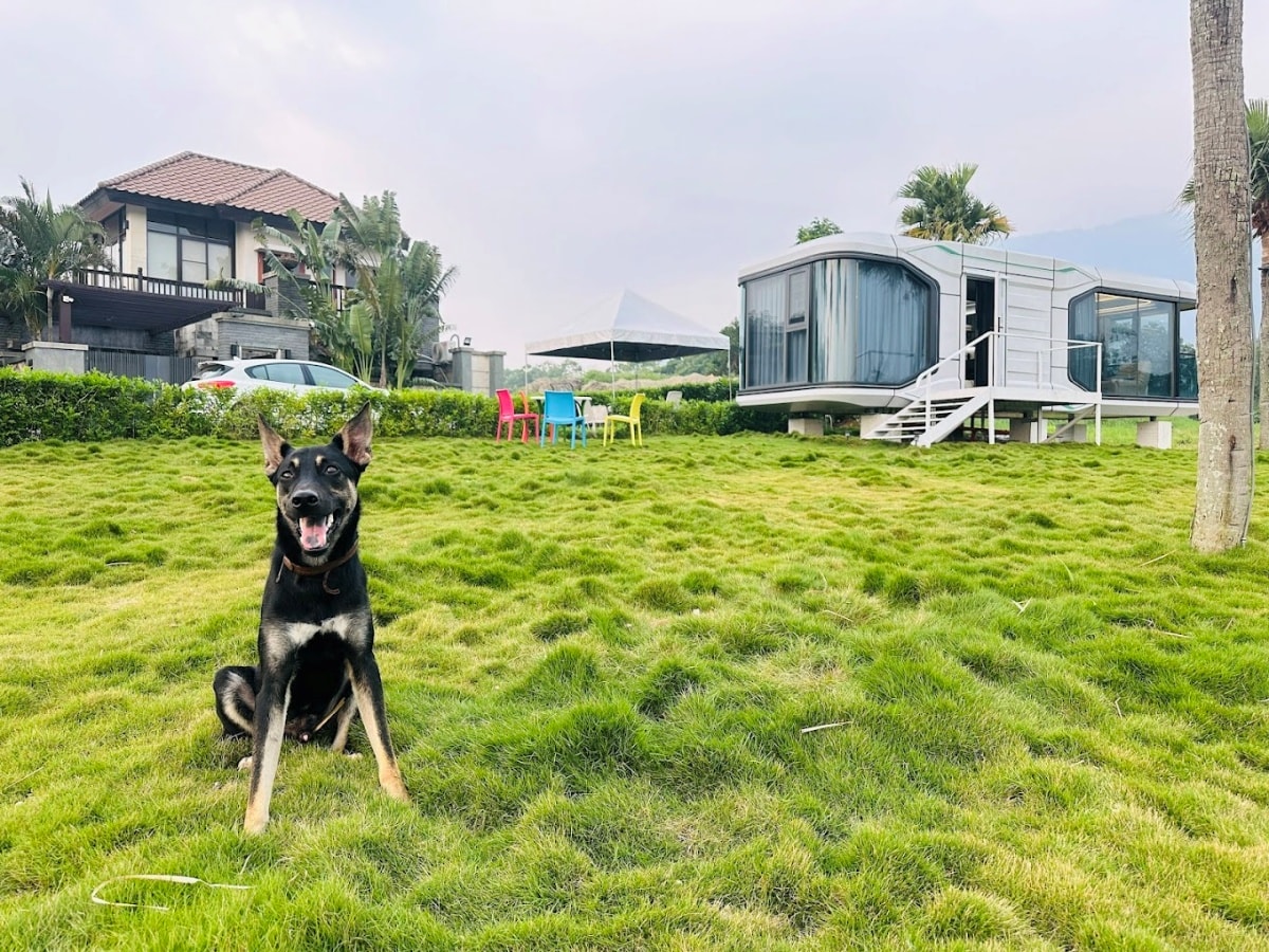 屏東寵物友善民宿-三地門星光秘境 villa & glamping - 第1張圖