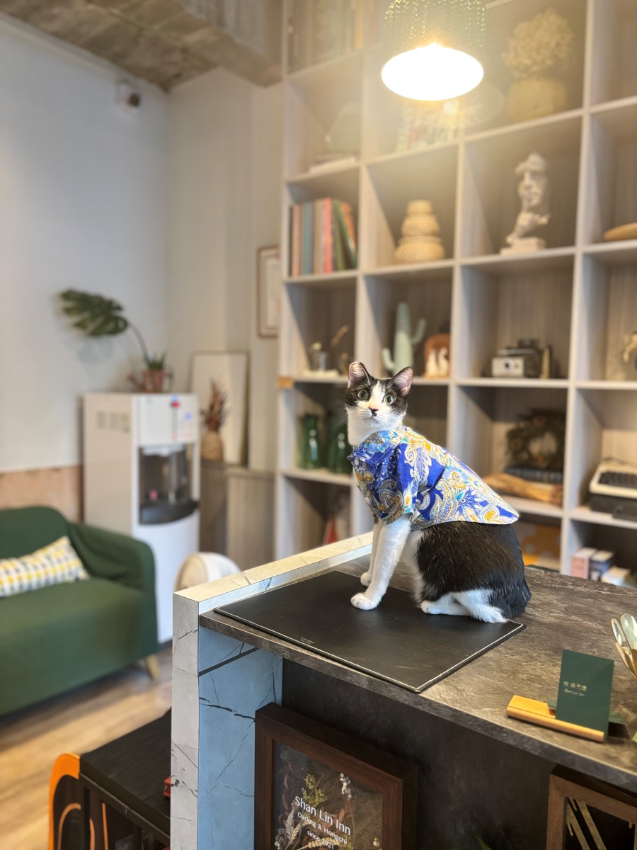 高雄寵物友善民宿分享-杉菻行旅 - 第5張圖 高雄寵物友善民宿分享-杉菻行旅