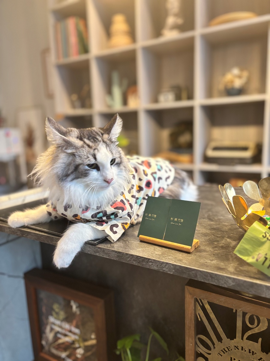 高雄寵物友善民宿分享-杉菻行旅 - 第6張圖 高雄寵物友善民宿分享-杉菻行旅