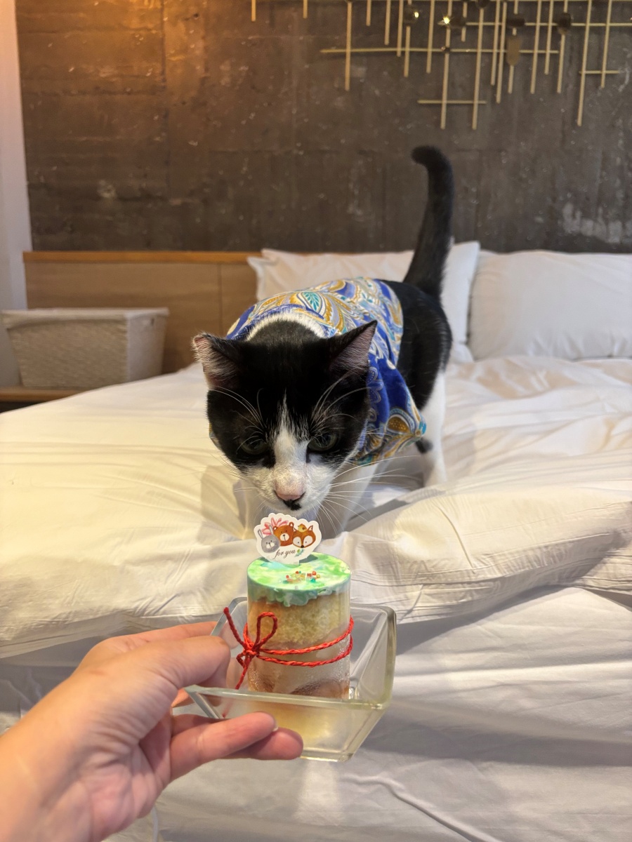 高雄寵物友善民宿分享-杉菻行旅 - 第13張圖 高雄寵物友善民宿分享-杉菻行旅