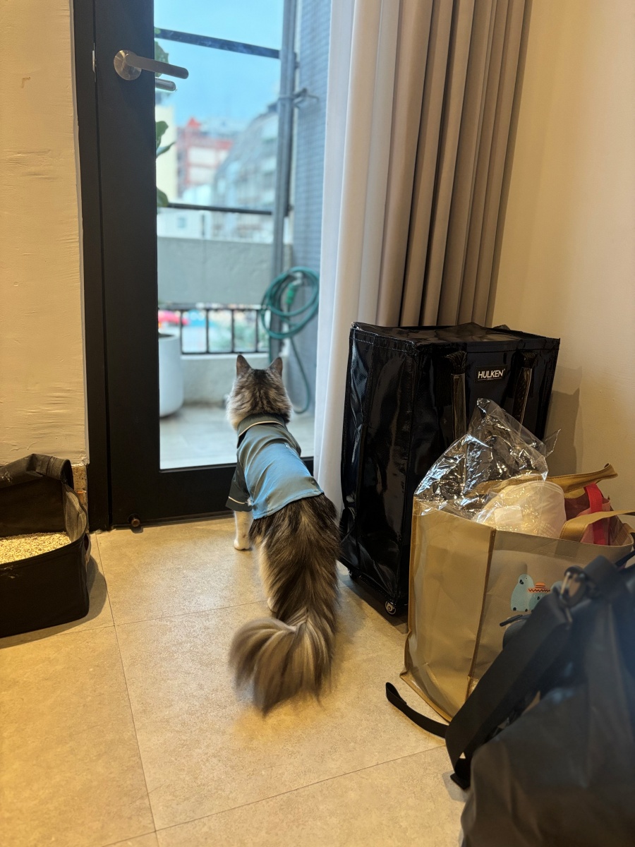 高雄寵物友善民宿分享-杉菻行旅 - 第14張圖 高雄寵物友善民宿分享-杉菻行旅