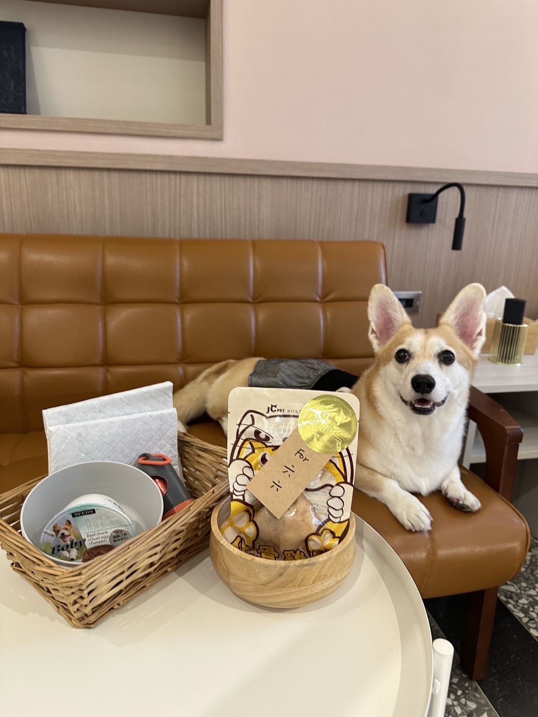 高雄寵物友善民宿分享-義旅舍