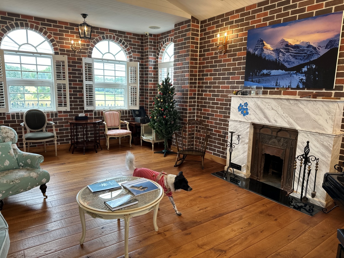 屏東寵物友善飯店分享-墾丁勿忘我城堡莊園