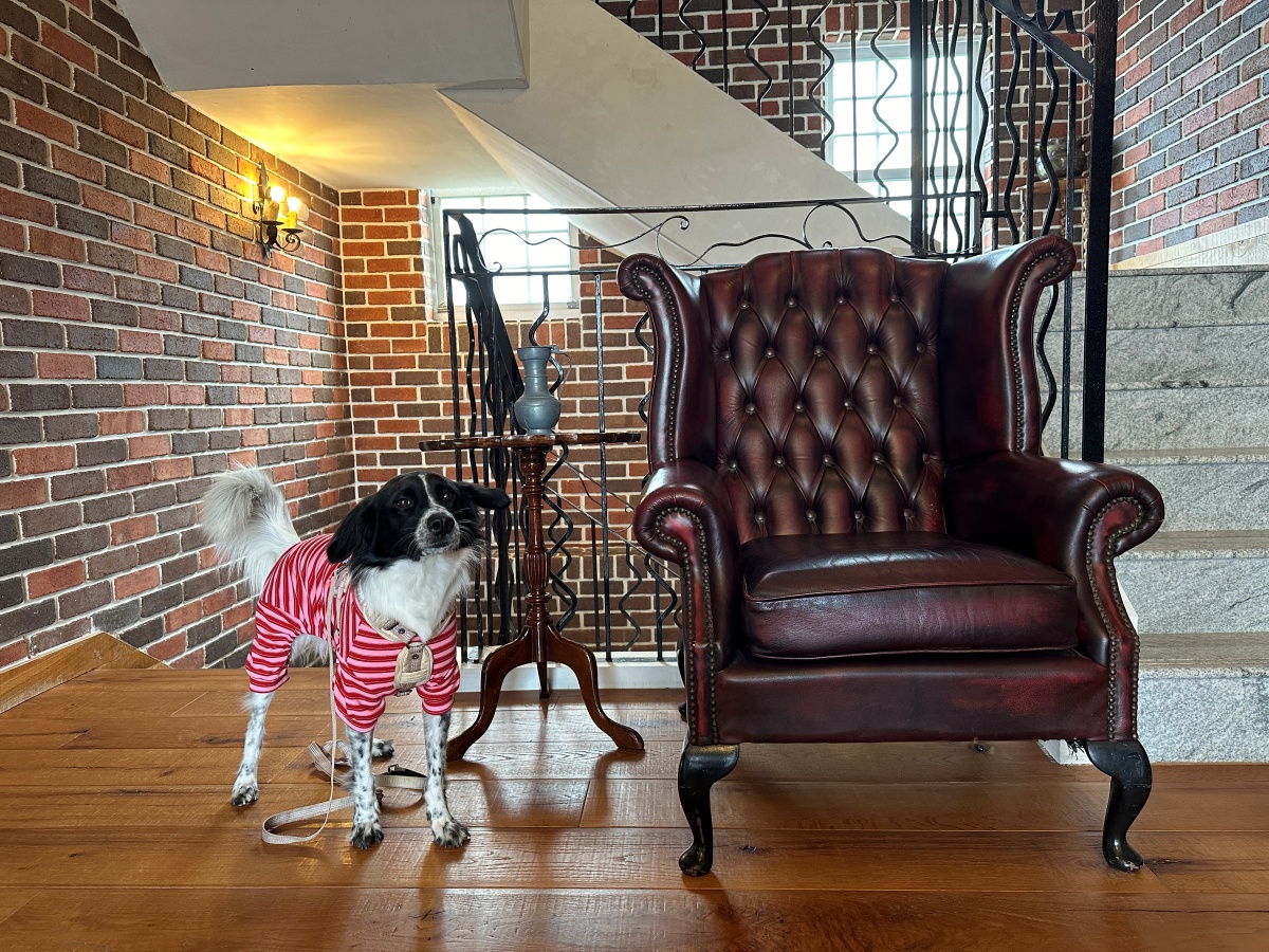 屏東寵物友善飯店分享-墾丁勿忘我城堡莊園