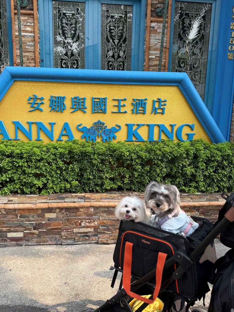 嘉義寵物友善飯店-安娜國王飯店 Anna & King Hotel