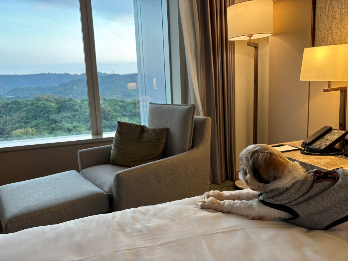 台北寵物友善飯店分享-六福萬怡酒店