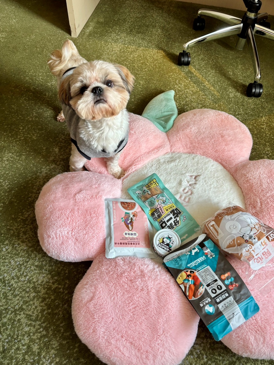 台北寵物友善飯店分享-六福萬怡酒店