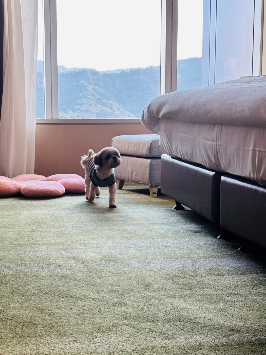 台北寵物友善飯店分享-六福萬怡酒店