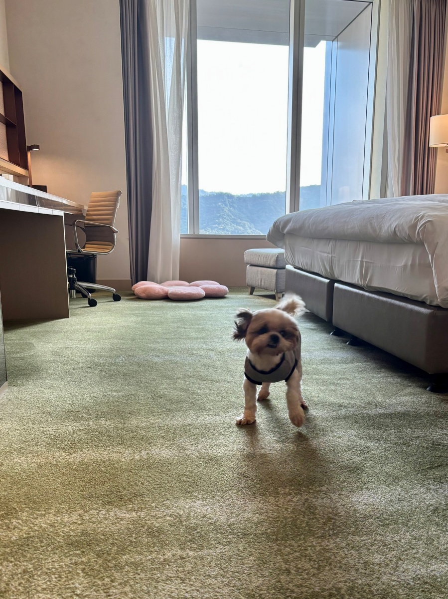 台北寵物友善飯店分享-六福萬怡酒店
