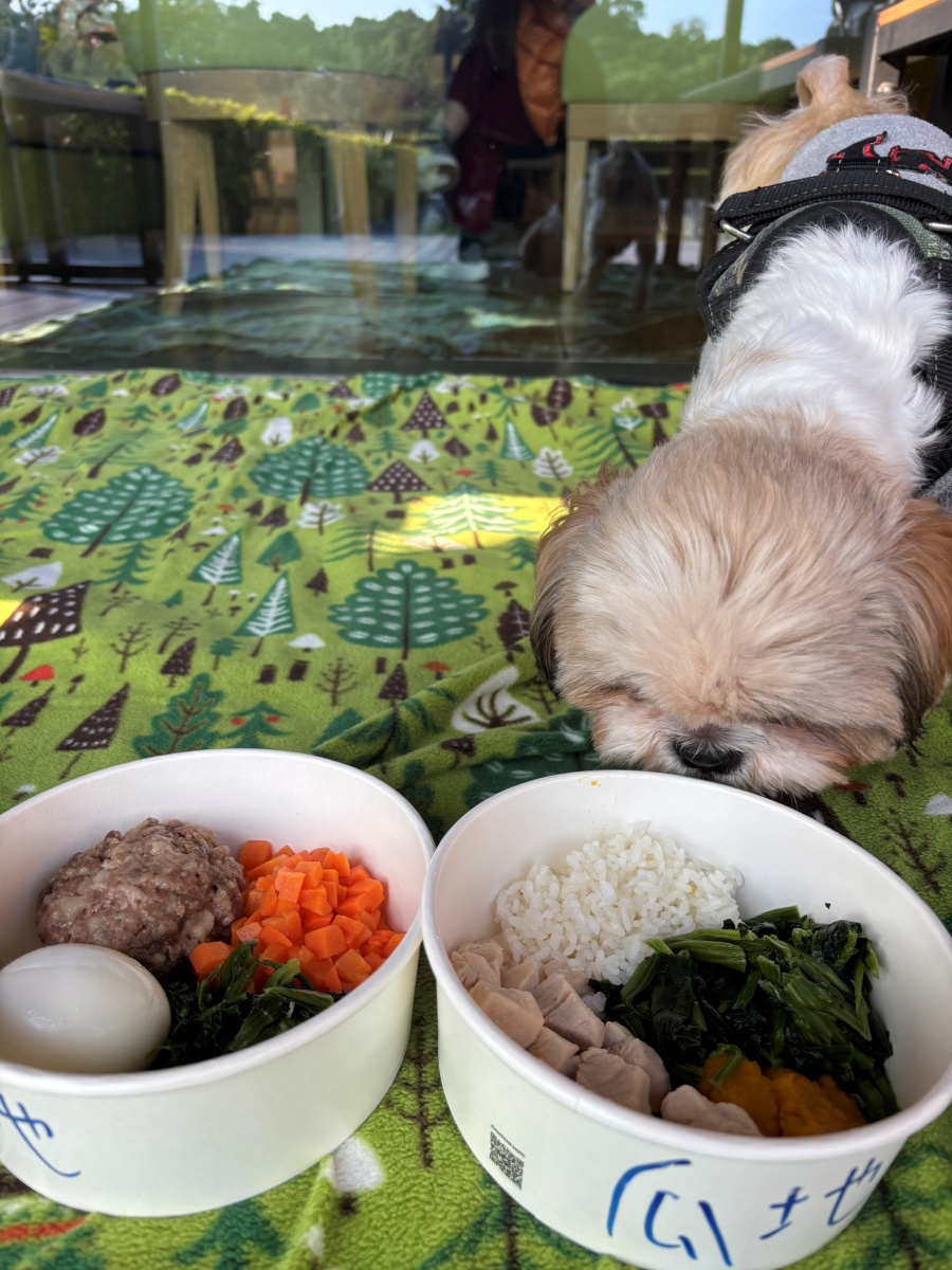 台北寵物友善飯店分享-六福萬怡酒店