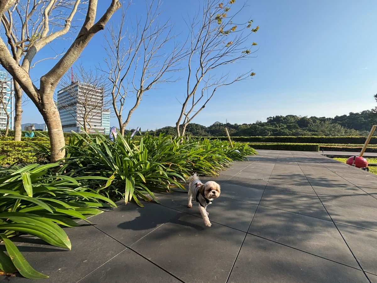 台北寵物友善飯店分享-六福萬怡酒店