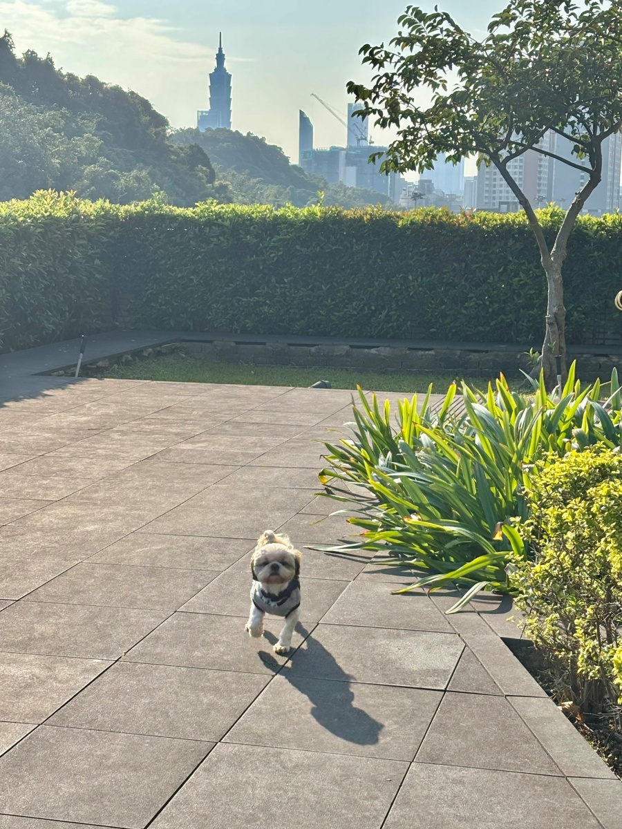 台北寵物友善飯店分享-六福萬怡酒店