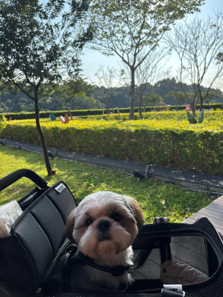 台北寵物友善飯店分享-六福萬怡酒店