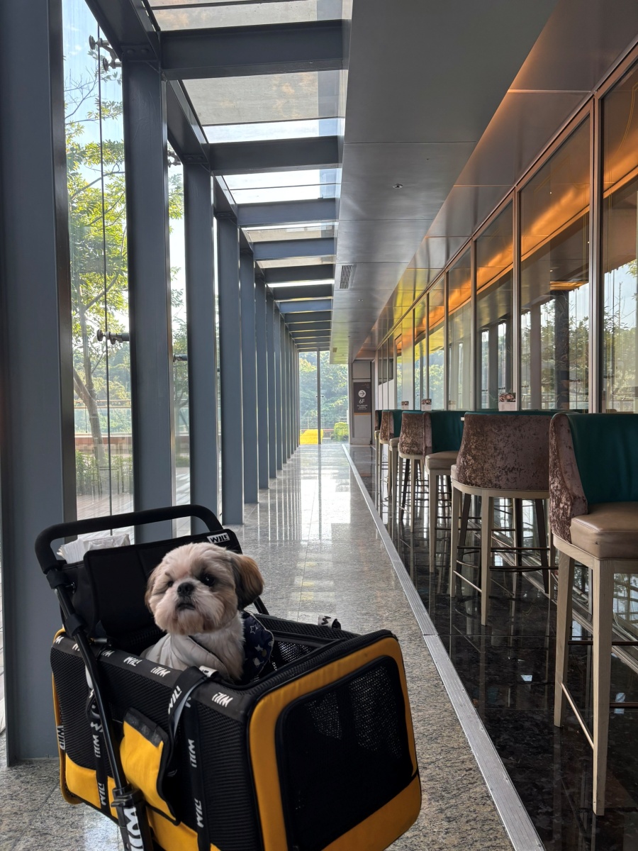 台北寵物友善飯店分享-六福萬怡酒店