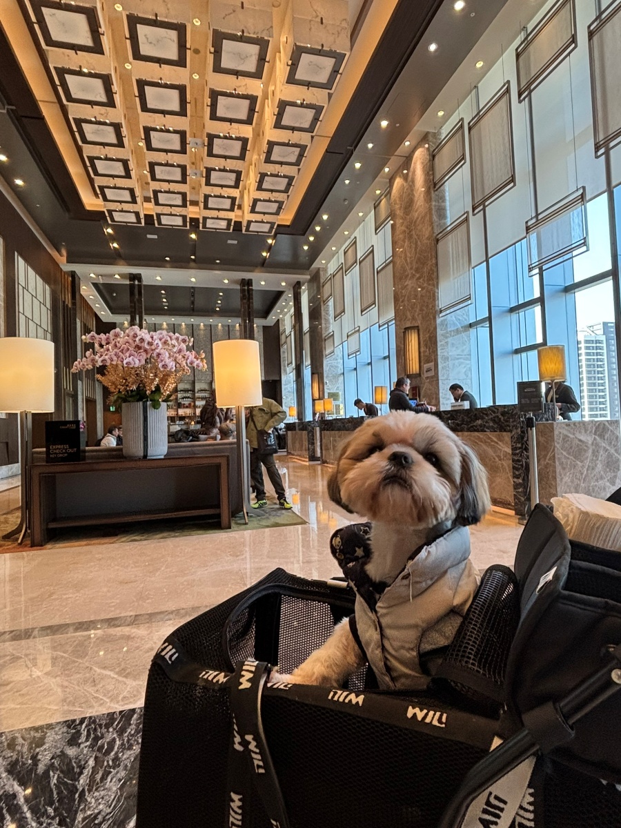 台北寵物友善飯店分享-六福萬怡酒店