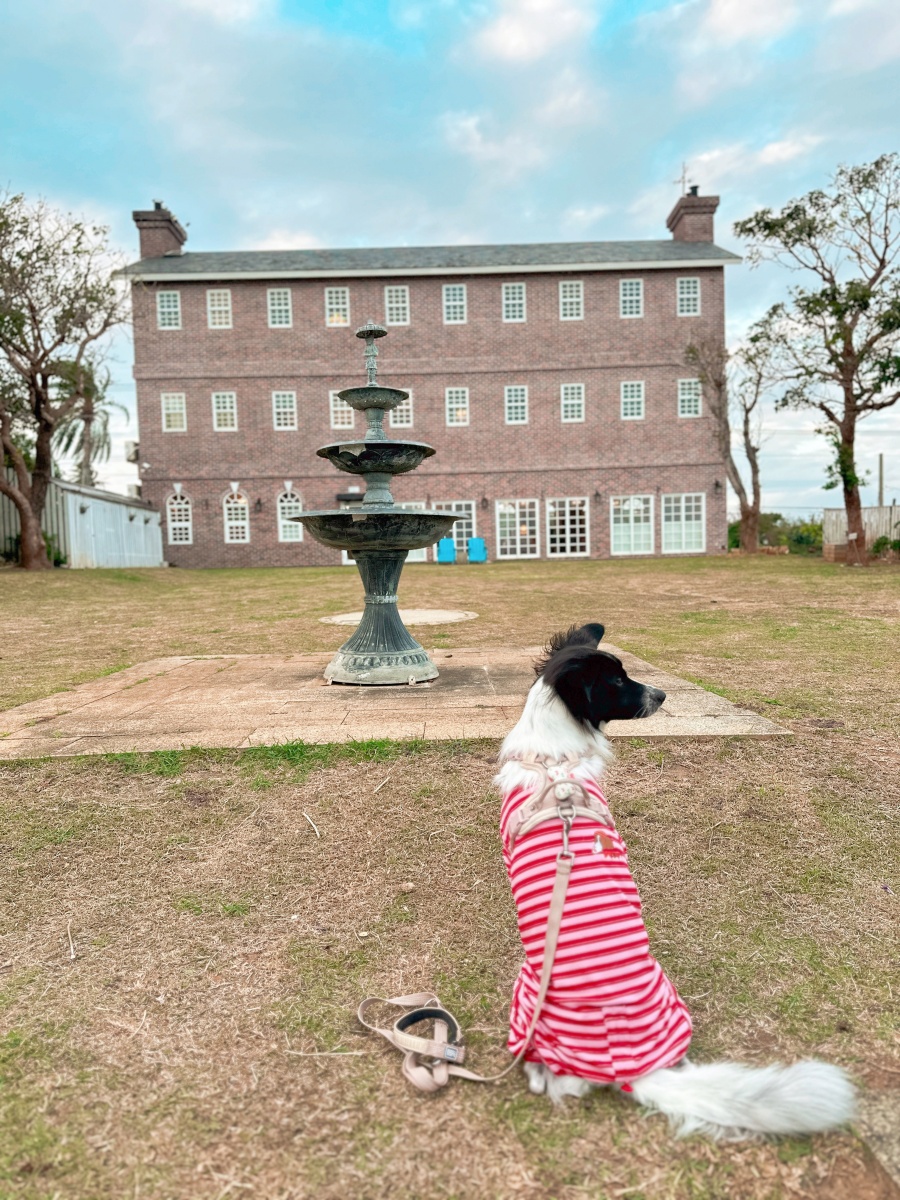 屏東寵物友善飯店分享-墾丁勿忘我城堡莊園