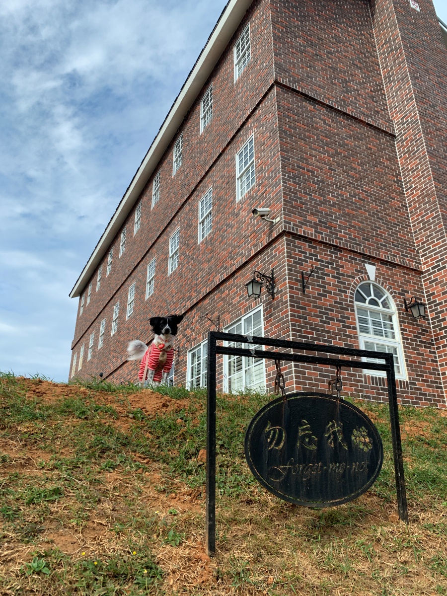 屏東寵物友善飯店分享-墾丁勿忘我城堡莊園