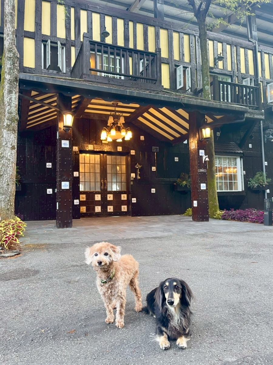 南投寵物友善民宿分享-清境凡賽斯莊園 - 第1張圖 南投寵物友善民宿分享-清境凡賽斯莊園