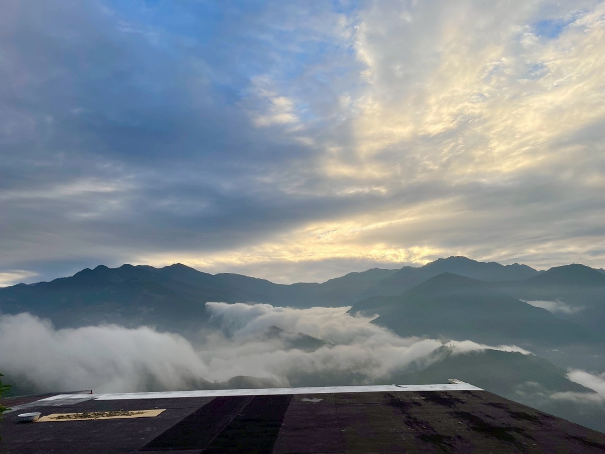 南投寵物友善民宿分享-清境白熊屋民宿 - 第28張圖 南投寵物友善民宿分享-清境白熊屋民宿