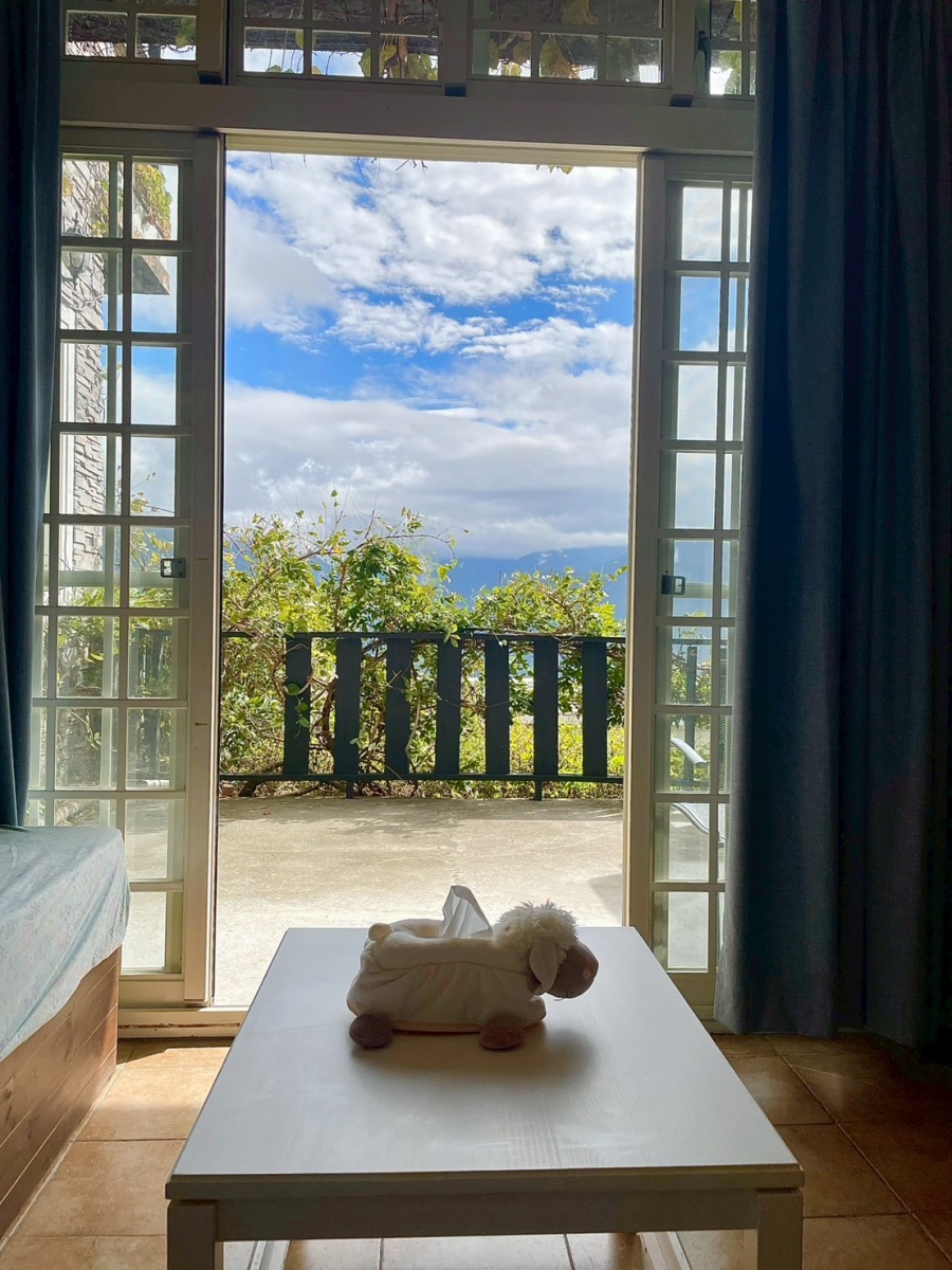 南投寵物友善民宿分享-清境白熊屋民宿 - 第16張圖 南投寵物友善民宿分享-清境白熊屋民宿