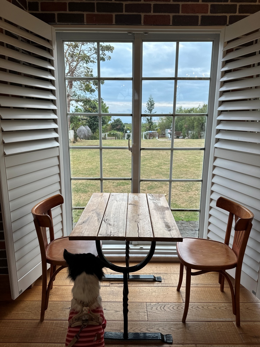 屏東寵物友善飯店分享-墾丁勿忘我城堡莊園