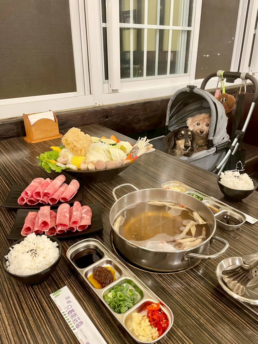 南投寵物友善民宿分享-清境凡賽斯莊園 - 第23張圖 南投寵物友善民宿分享-清境凡賽斯莊園