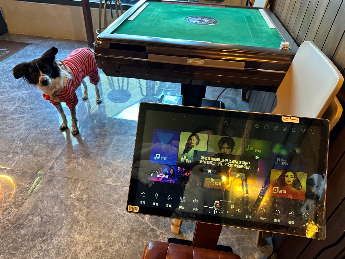 屏東寵物友善飯店分享-墾丁吾醉宿放