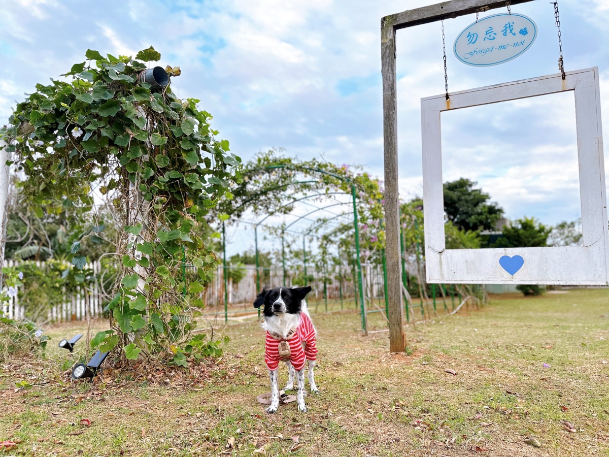 屏東寵物友善飯店分享-墾丁勿忘我城堡莊園
