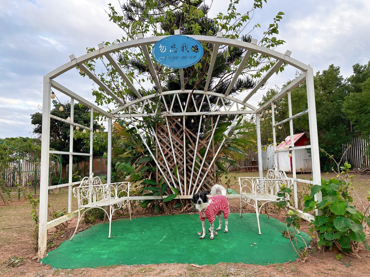 屏東寵物友善飯店分享-墾丁勿忘我城堡莊園