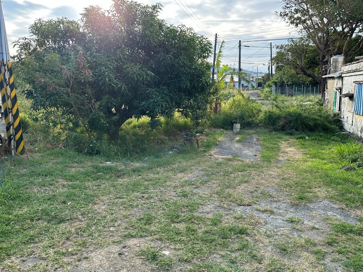 屏東寵物友善飯店分享-墾丁吾醉宿放