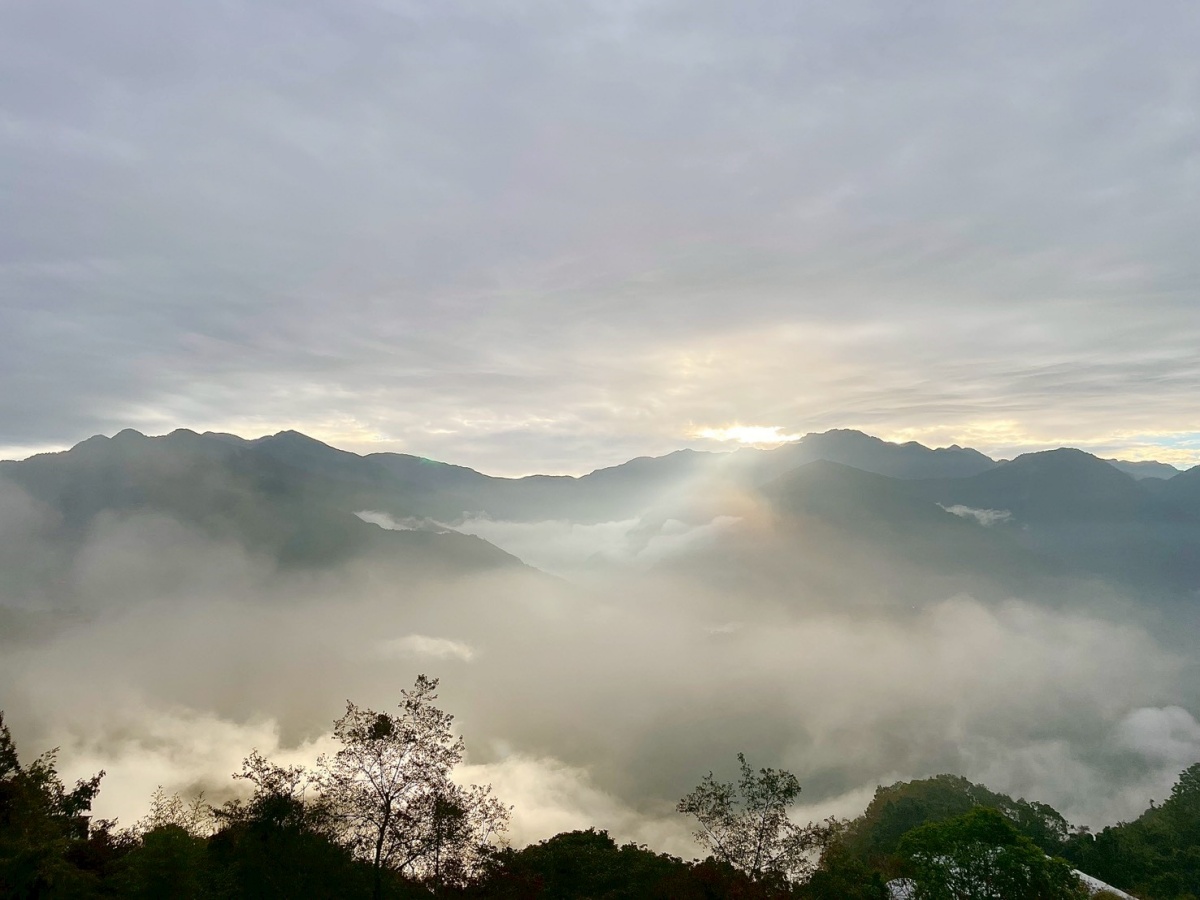 南投寵物友善民宿分享-清境白熊屋民宿 - 第27張圖 南投寵物友善民宿分享-清境白熊屋民宿