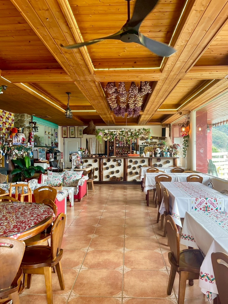 南投寵物友善民宿分享-清境白熊屋民宿 - 第5張圖 南投寵物友善民宿分享-清境白熊屋民宿