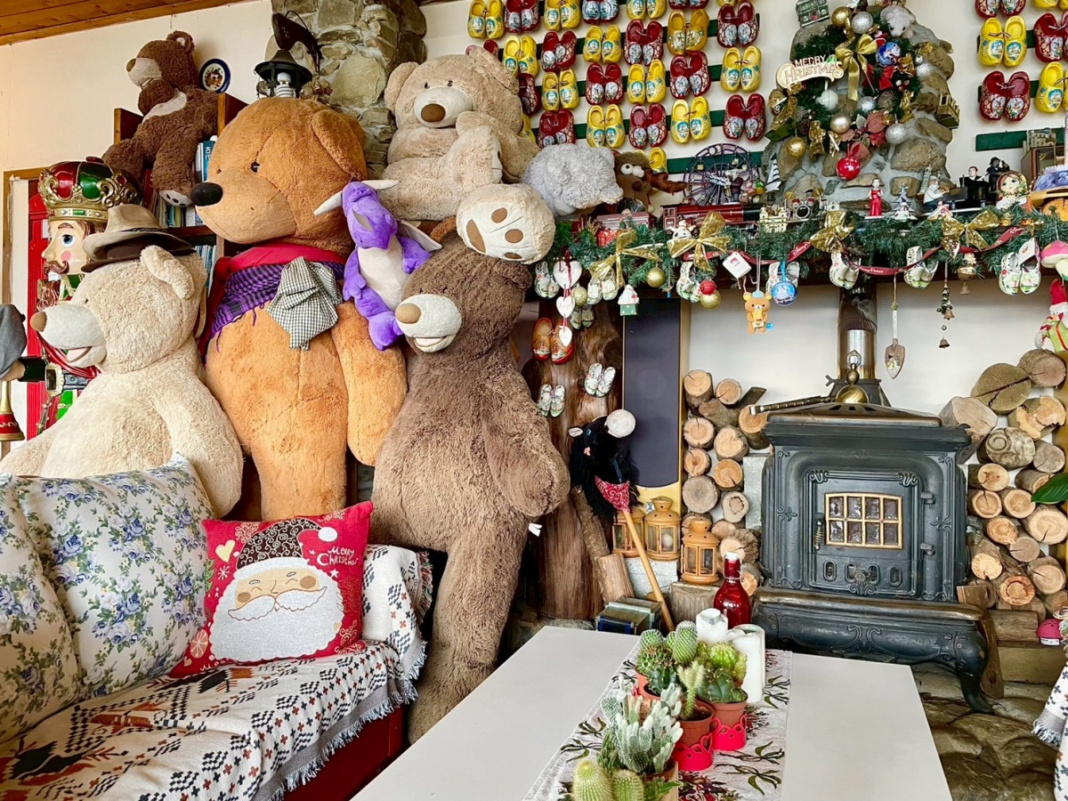 南投寵物友善民宿分享-清境白熊屋民宿 - 第6張圖 南投寵物友善民宿分享-清境白熊屋民宿