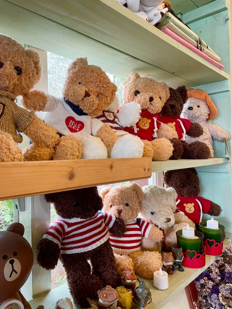 南投寵物友善民宿分享-清境白熊屋民宿 - 第8張圖 南投寵物友善民宿分享-清境白熊屋民宿