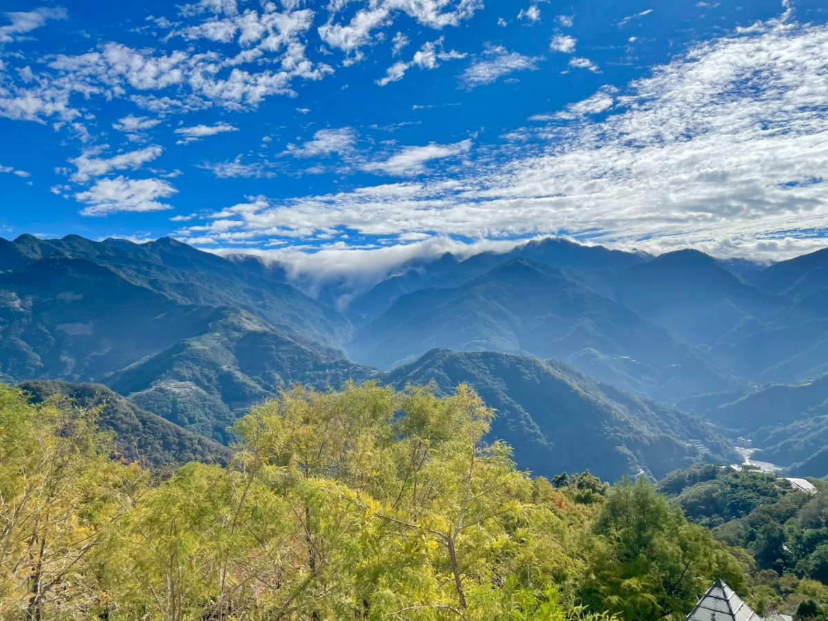 南投寵物友善民宿分享-清境凡賽斯莊園 - 第29張圖 南投寵物友善民宿分享-清境凡賽斯莊園
