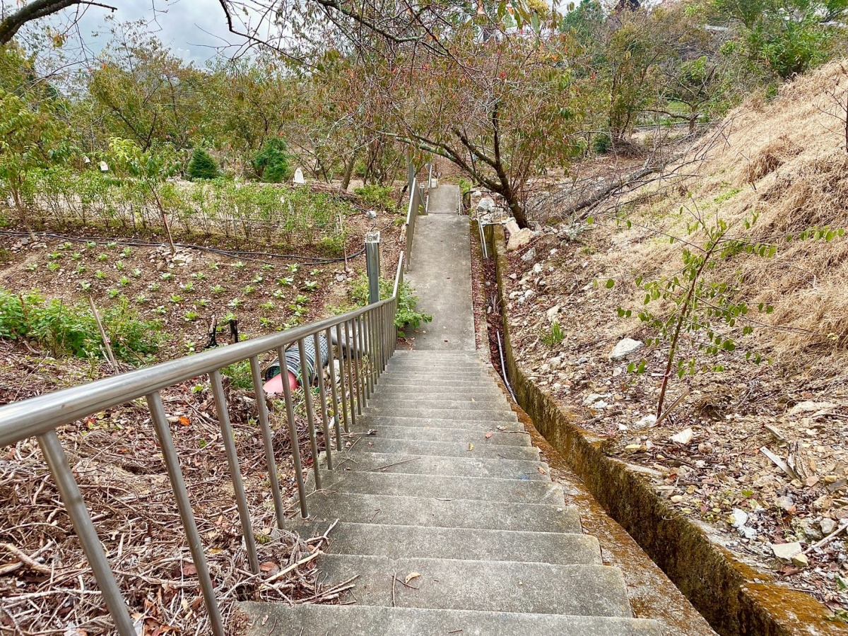 南投寵物友善民宿分享-清境白熊屋民宿 - 第19張圖 南投寵物友善民宿分享-清境白熊屋民宿