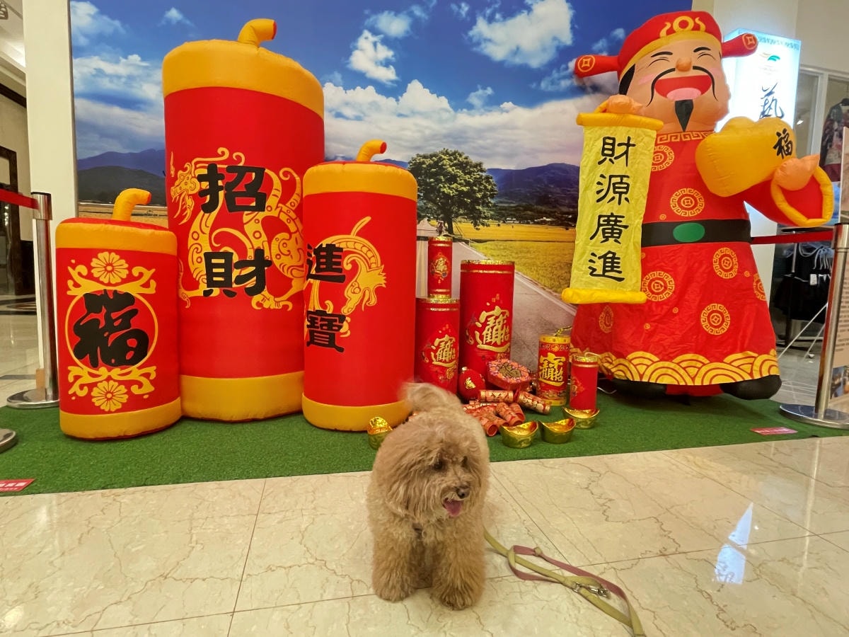 台東寵物友善飯店-娜路彎大酒店