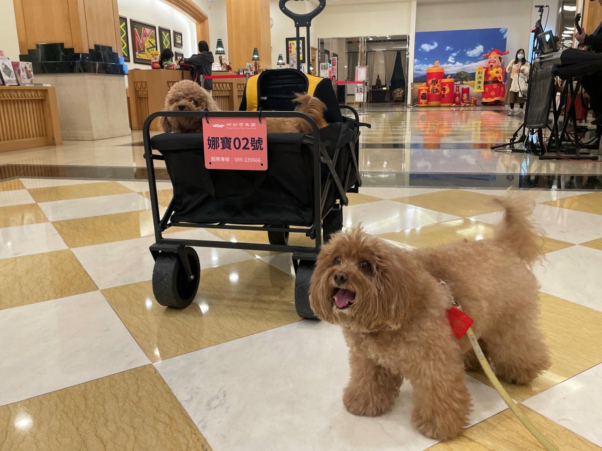 台東寵物友善飯店-娜路彎大酒店