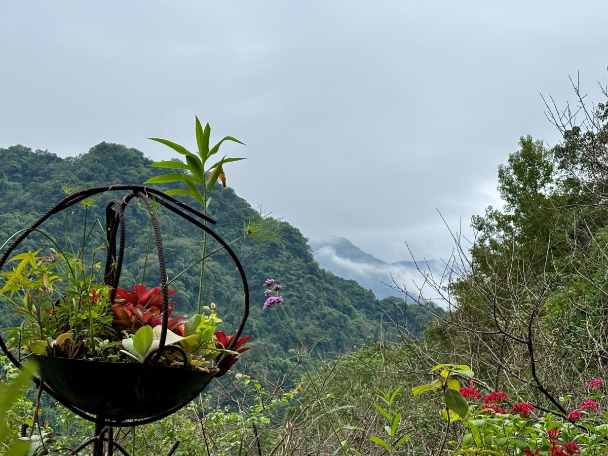 中部寵物友善餐廳-山行玫瑰