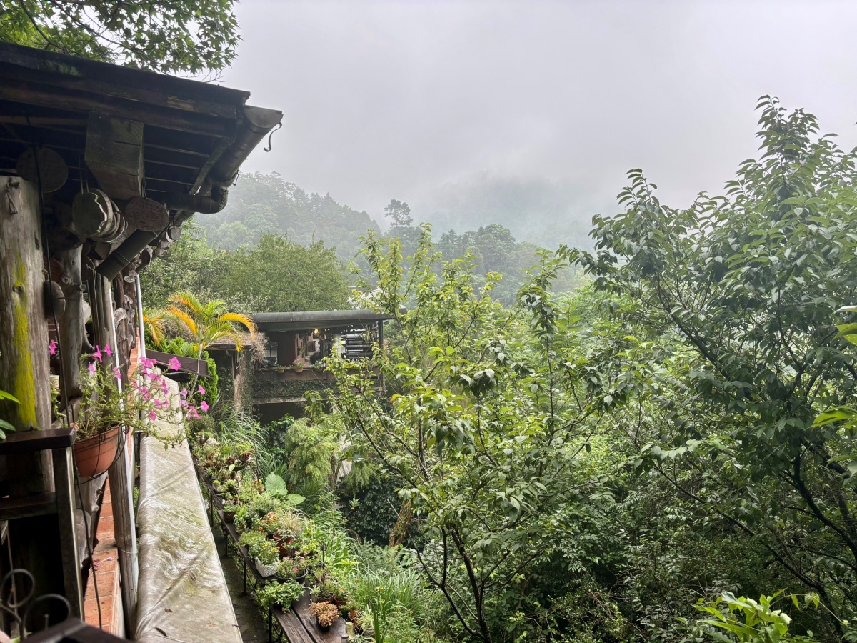 中部寵物友善餐廳-山行玫瑰