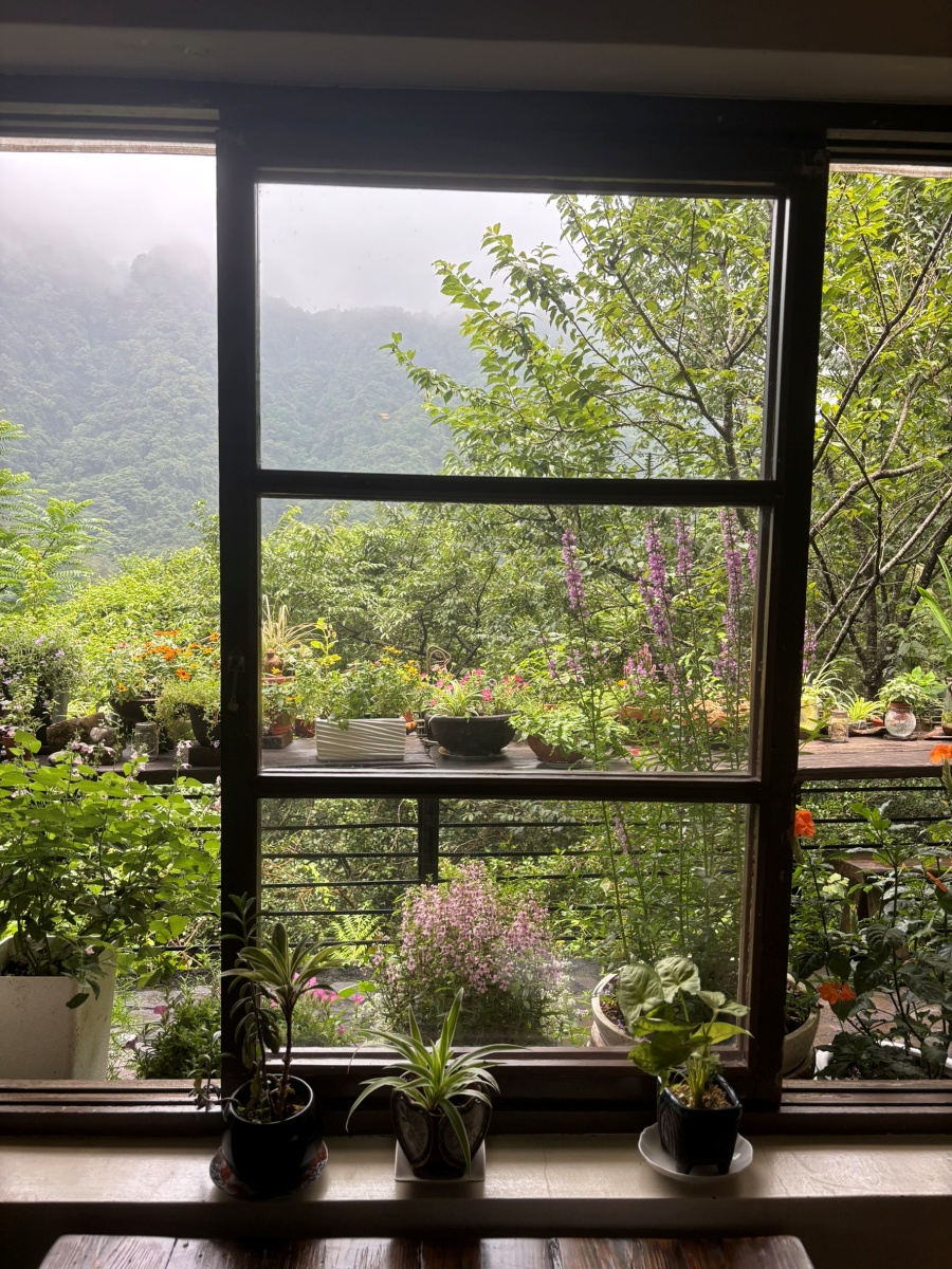 中部寵物友善餐廳-山行玫瑰