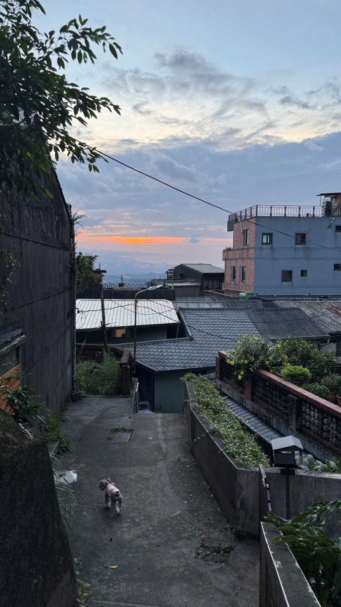 新北寵物友善民宿分享-九份暮石民宿 - 第13張圖 新北寵物友善民宿分享-九份暮石民宿
